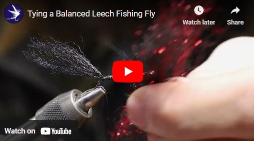 Tying a Balanced Leech Fishing Fly
